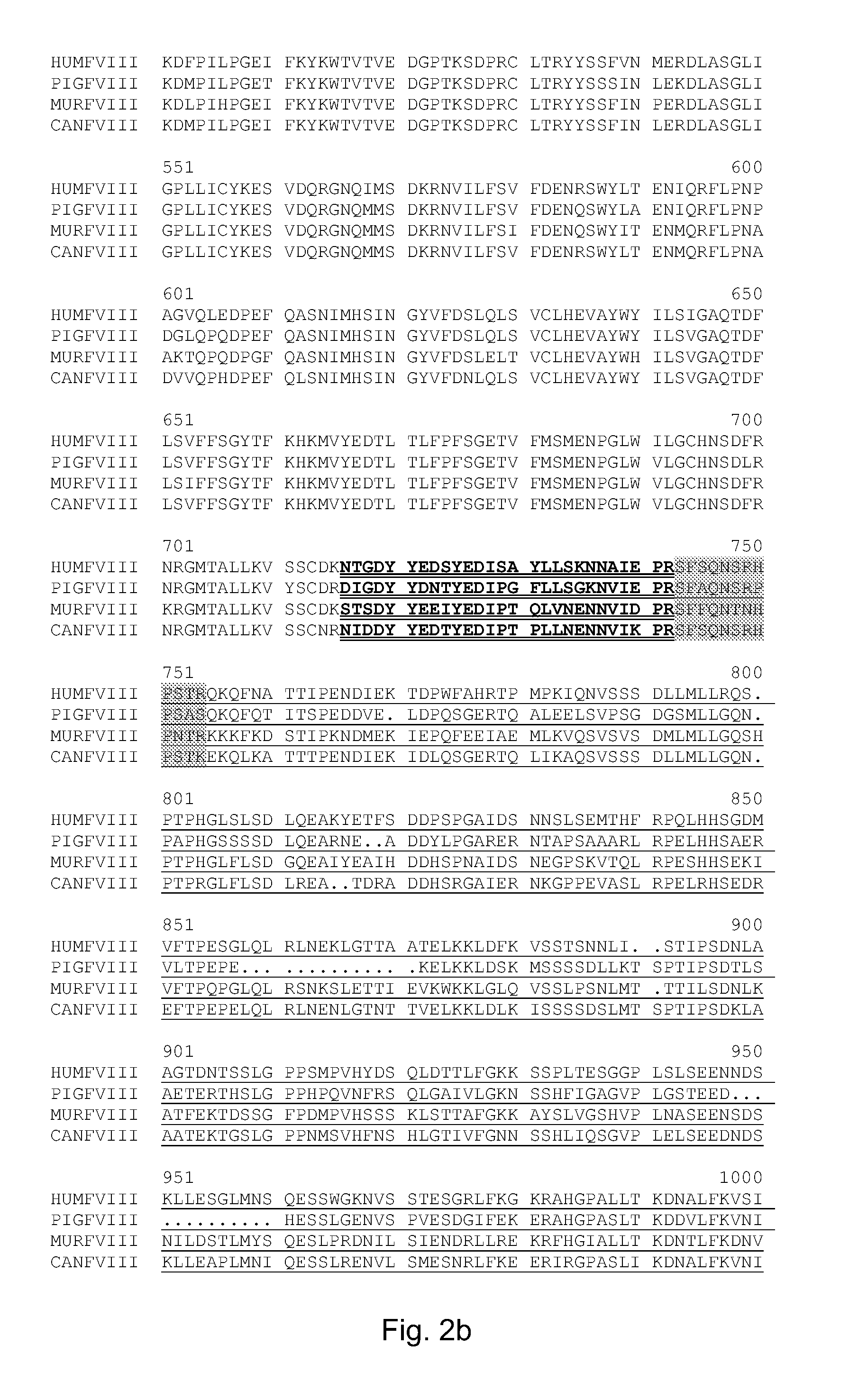 Variant of antihemophilic factor viii having increased specific activity