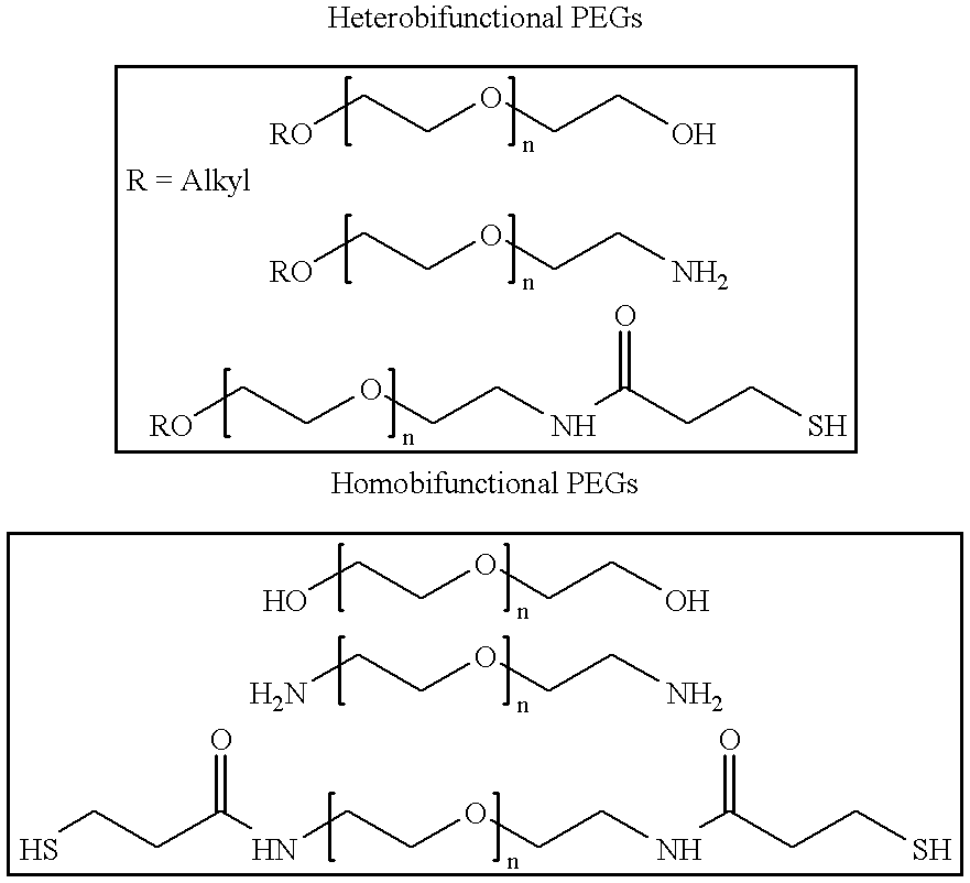 Antineoplastic conjugates of transferrin, albumin and polyethylene glycol