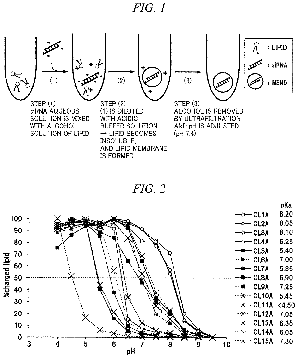 LIPID MEMBRANE STRUCTURE FOR DELIVERY INTO siRNA CELL