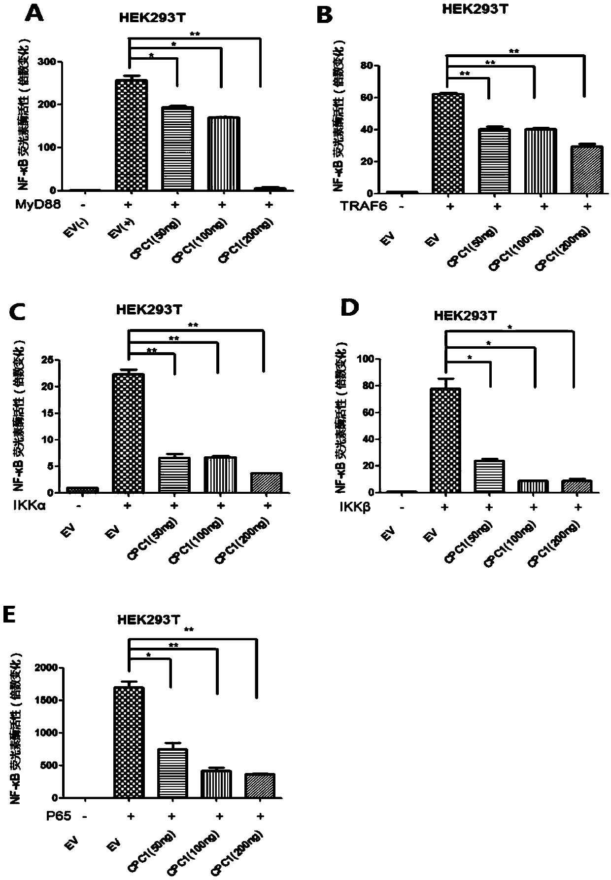 Application of TgCPC1 in preparation of drug for inhibiting inflammation