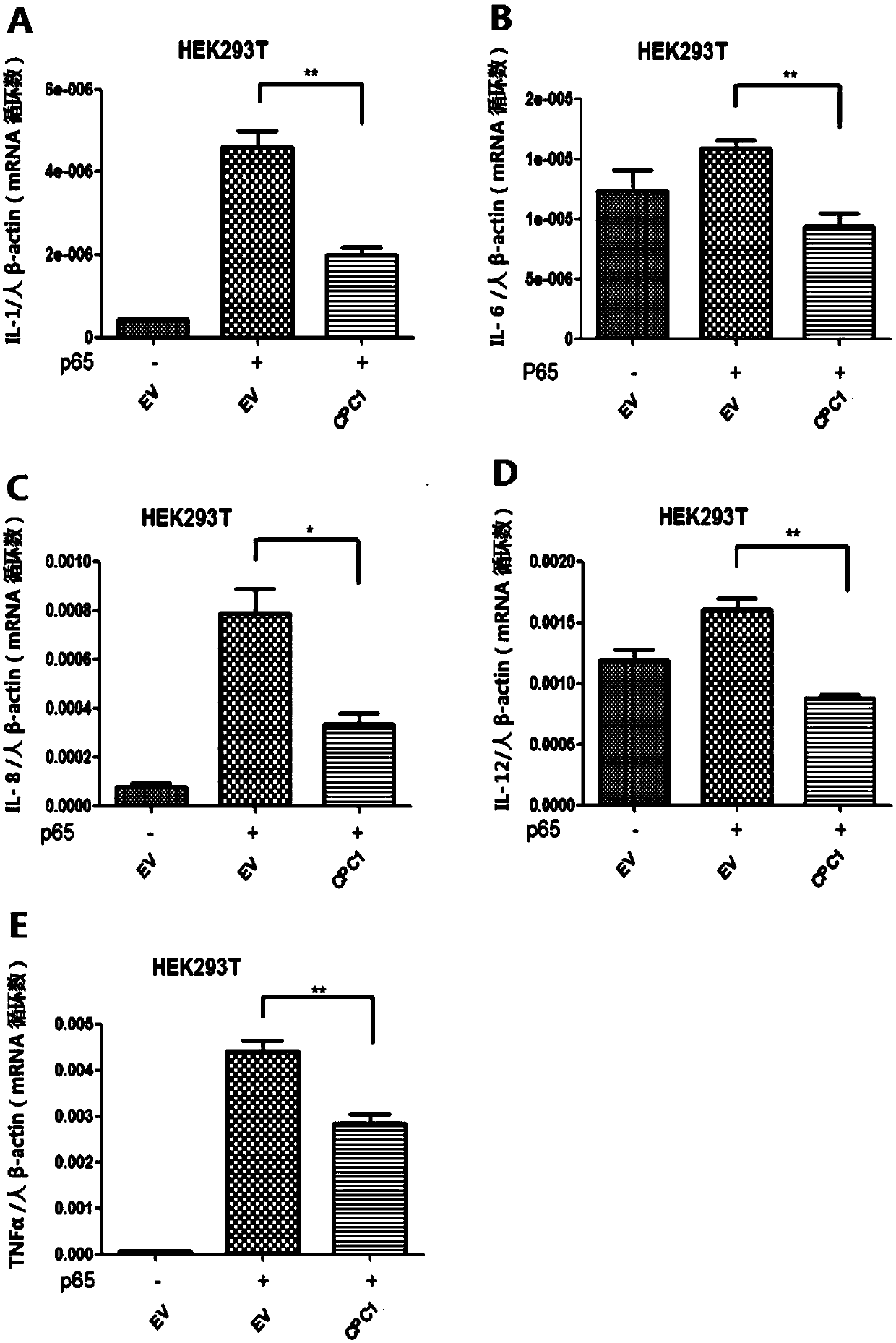 Application of TgCPC1 in preparation of drug for inhibiting inflammation