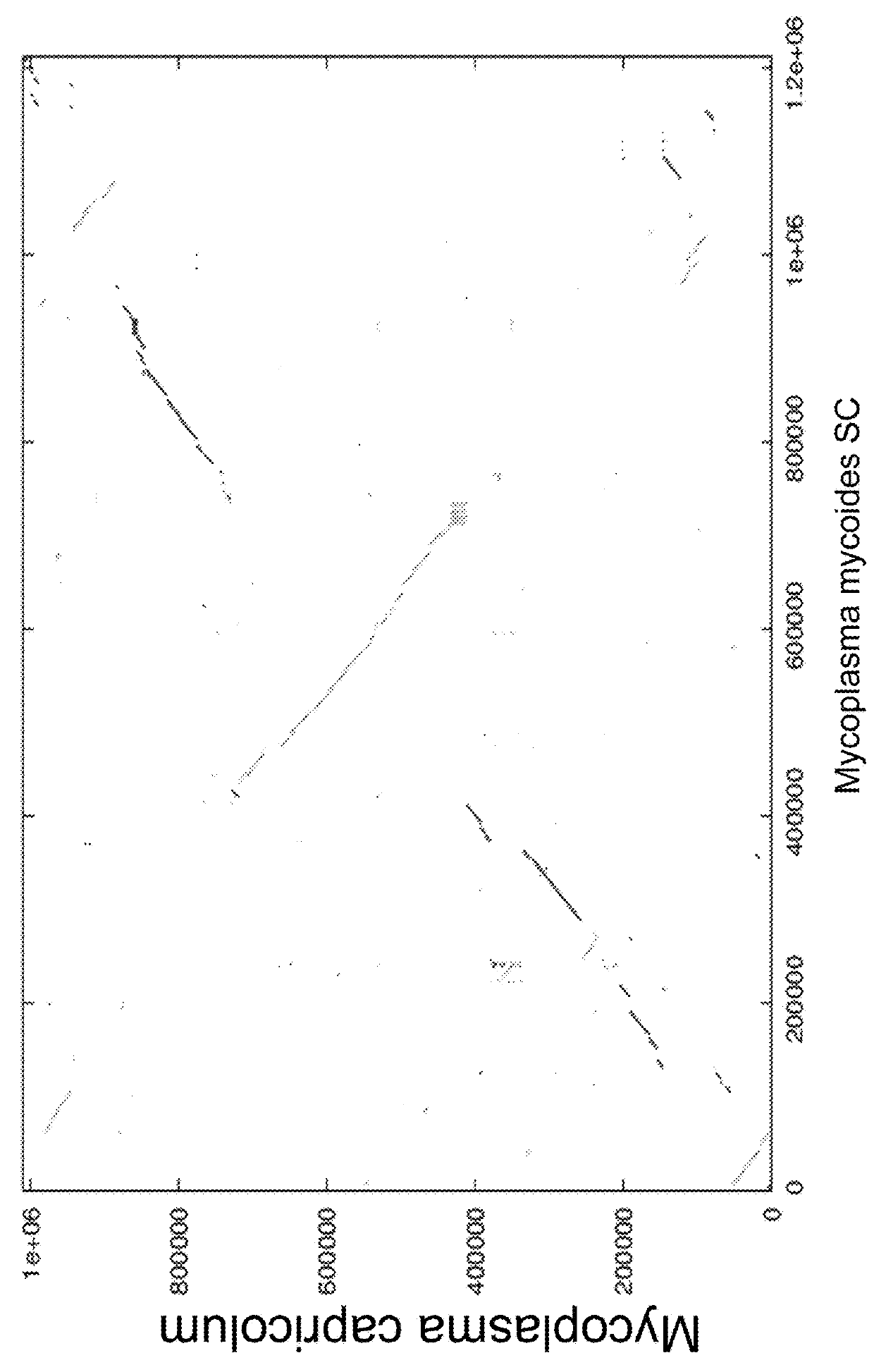 Method of nucleic acid cassette assembly