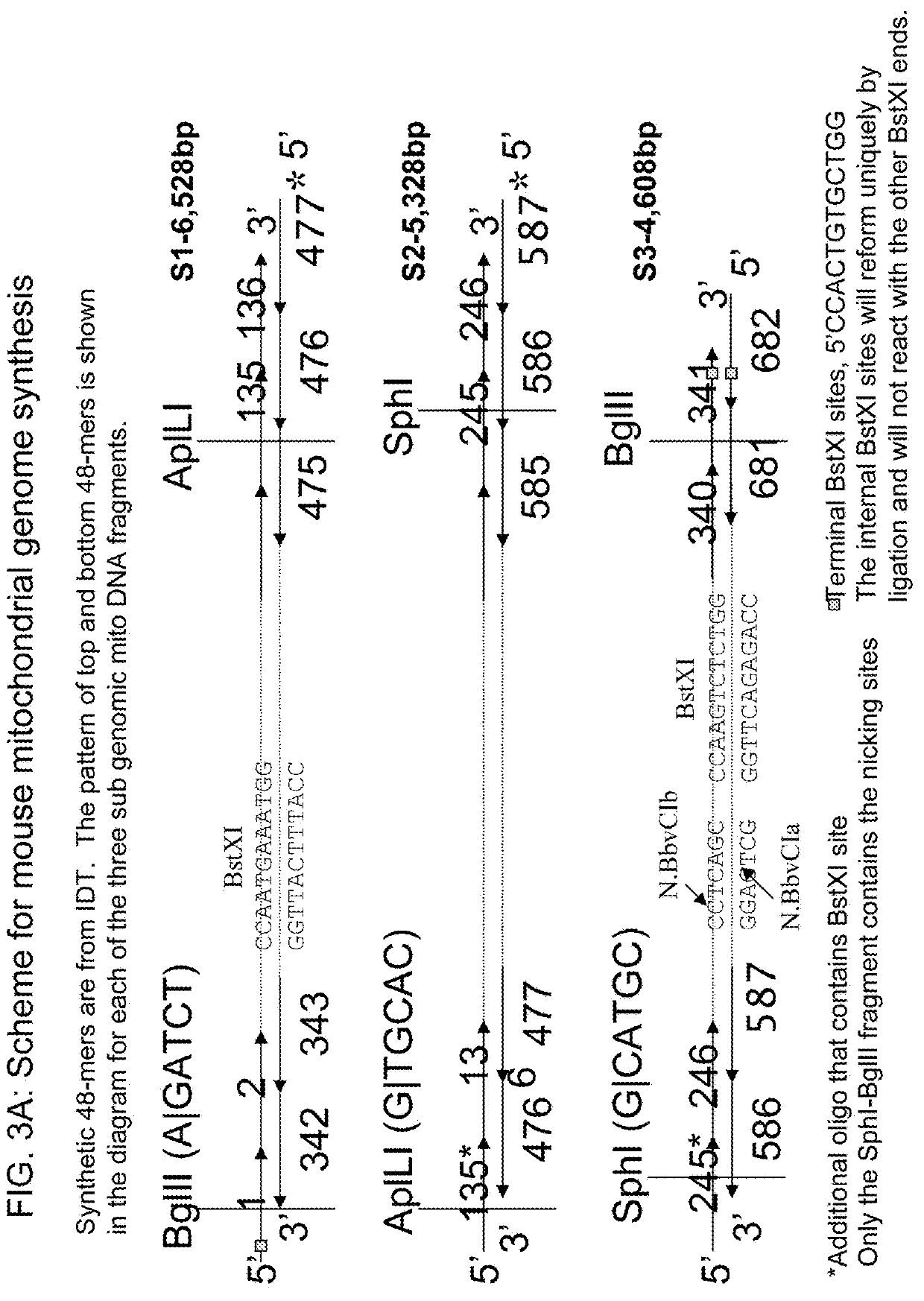 Method of nucleic acid cassette assembly