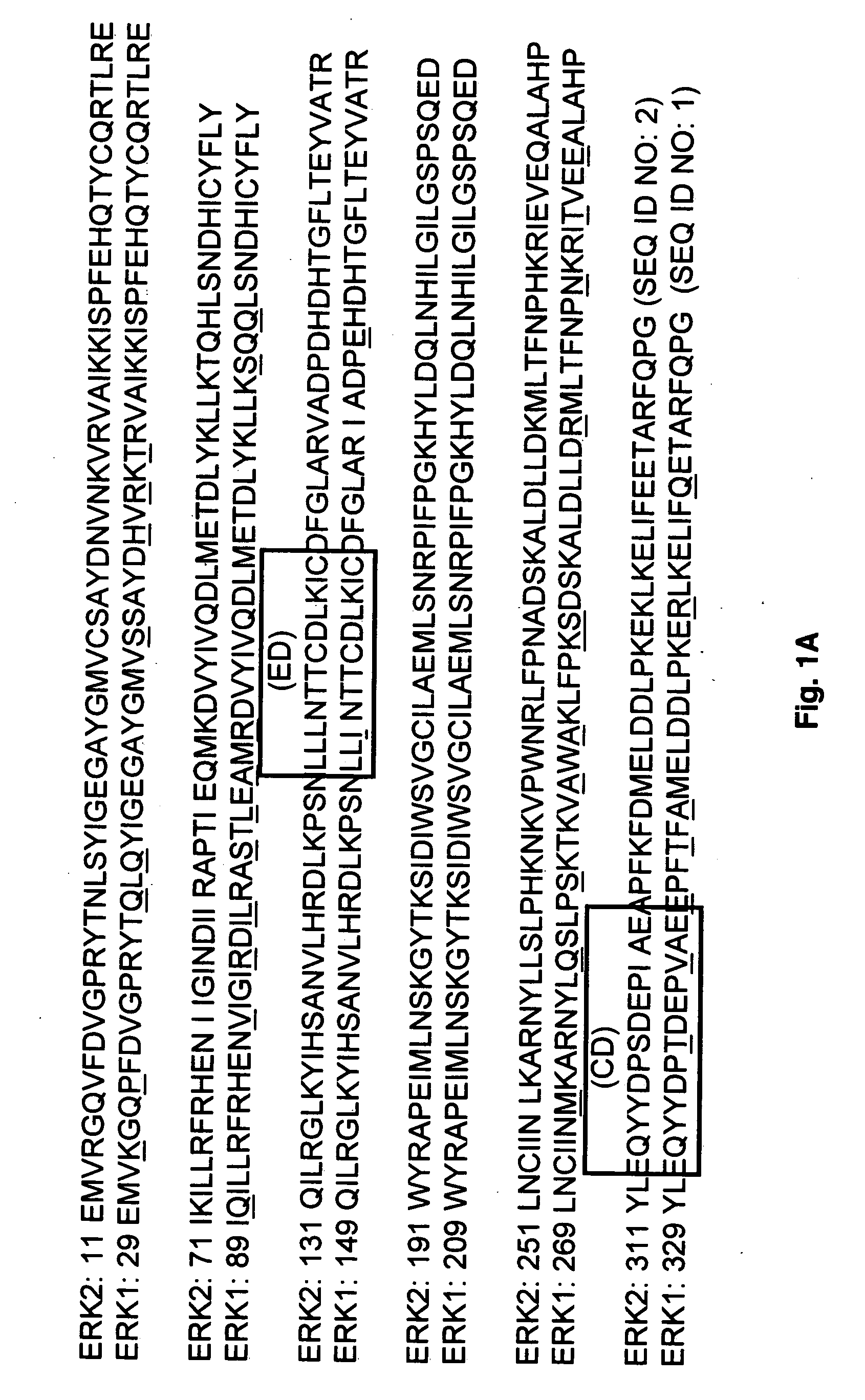 Inhibitors for extracellular signal-regulated kinase docking domains and uses therefor