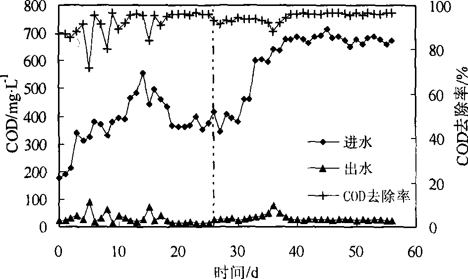 Method for controlling and reducing biological treatment of waste water system sludge by special inocula