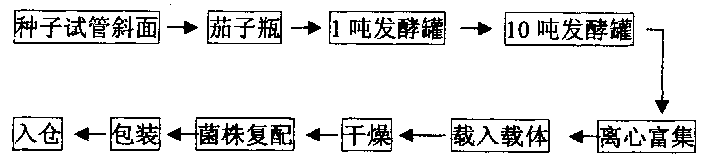 Method for production of compound Bacillus preparation by liquid fermentation