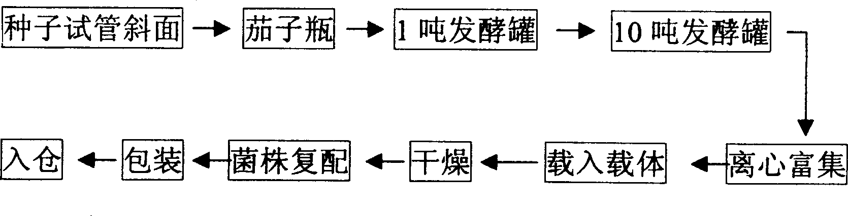 Method for production of compound Bacillus preparation by liquid fermentation