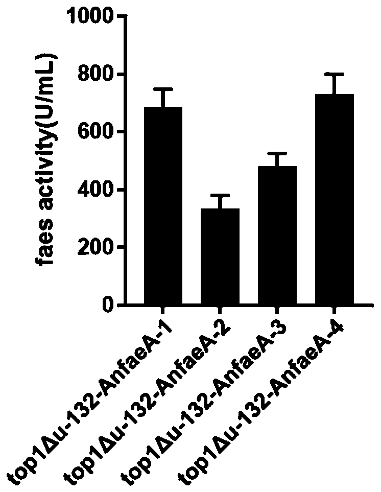 Recombinant expression strain of feruloyl esterase as well as preparation method and application of recombinant expression strain