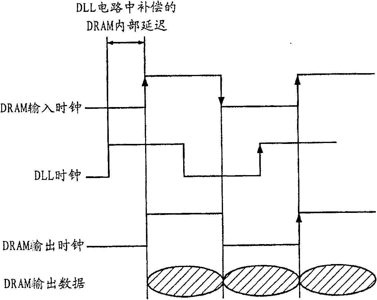 Delay locked loop circuit and method for provding delay locked loop clock of synchronous memory device