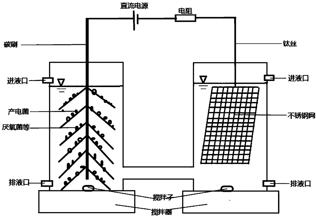 Method for producing hydrogen and recycling phosphorus through electrolysis of neutral Fenton regulated residual sludge microorganism