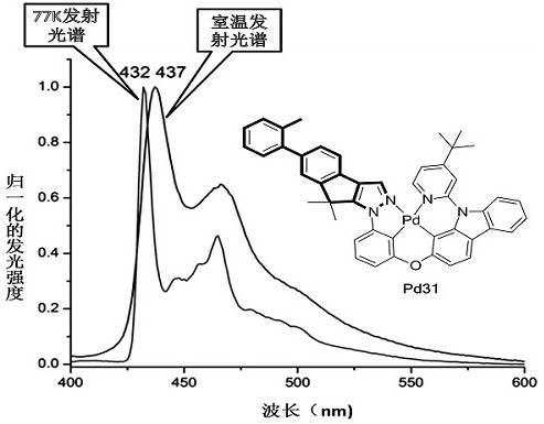 A kind of metal palladium (ii) complex containing bridged phenyl-phenyl-pyrazole structural unit and its application