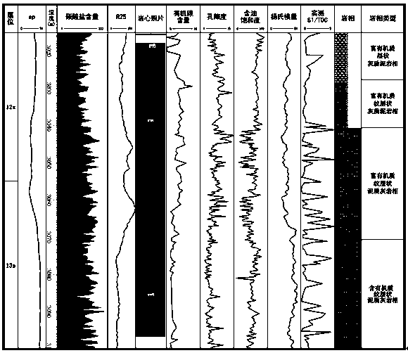 Mud shale pulveryte facies research method