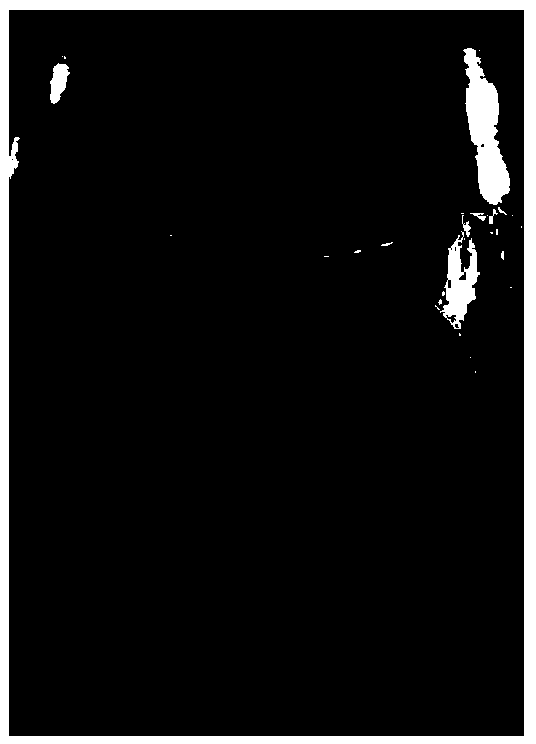 Method for detecting ammonia volatilization in soil urea of dry direct seeding soil and influence on seed germination