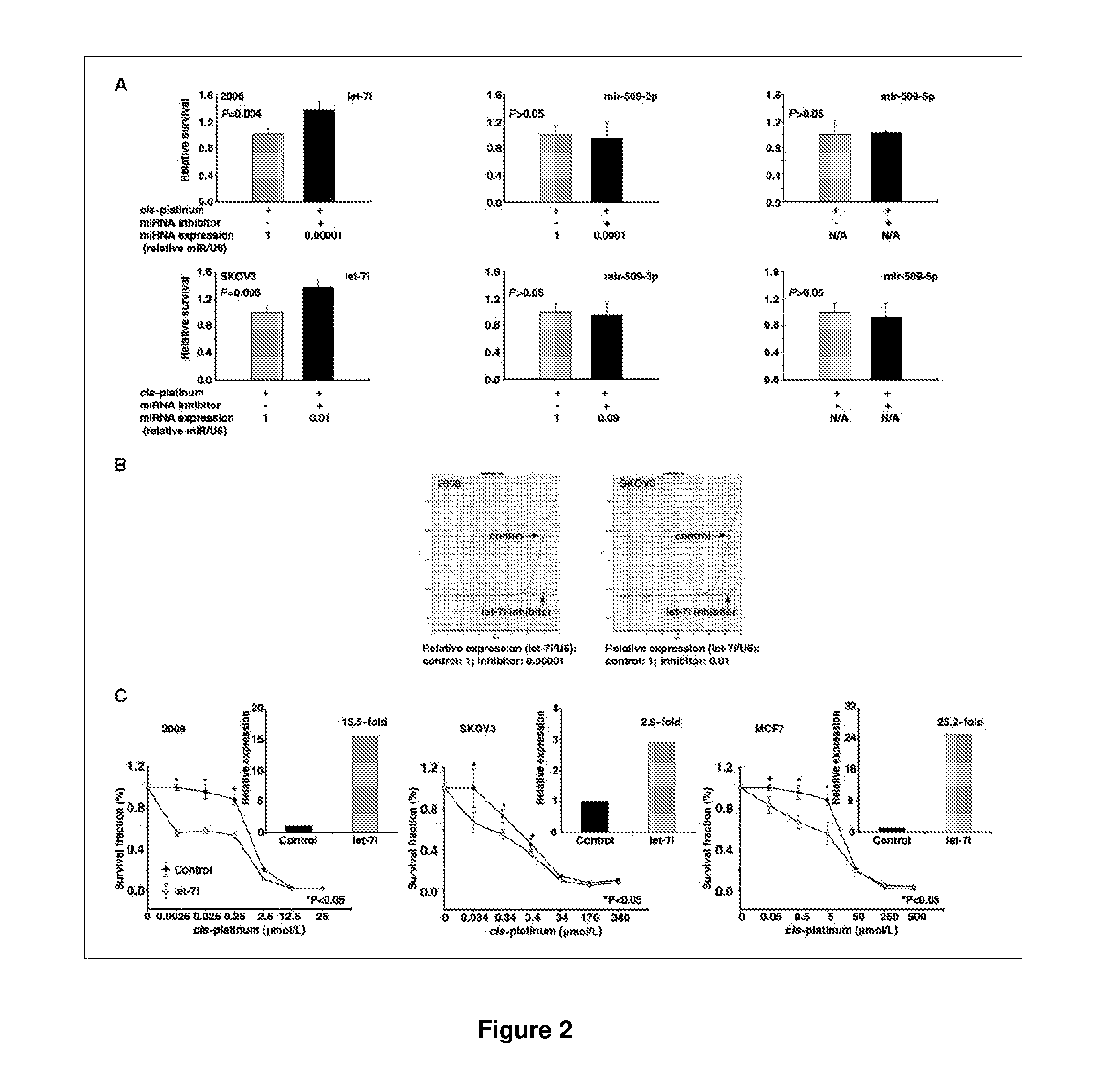 Microrna biomarker in cancer