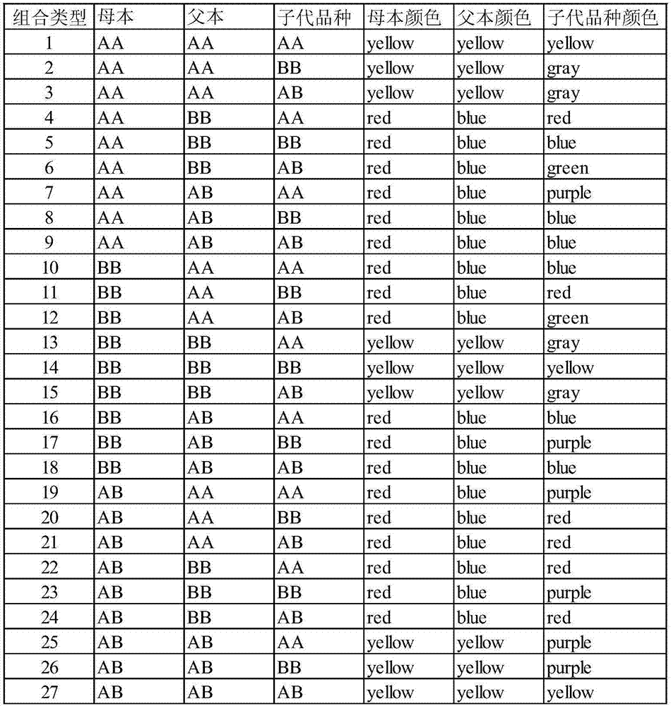 Method for drawing genetic composition map of wheat variety