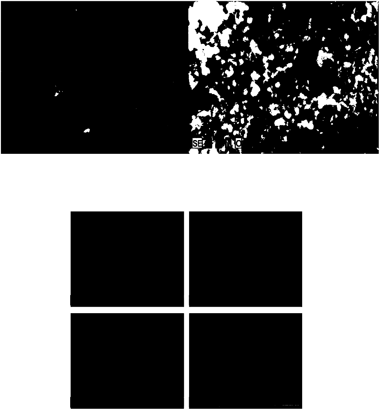 Method for preparing boron-nitrogen co-doped carbon aerogel