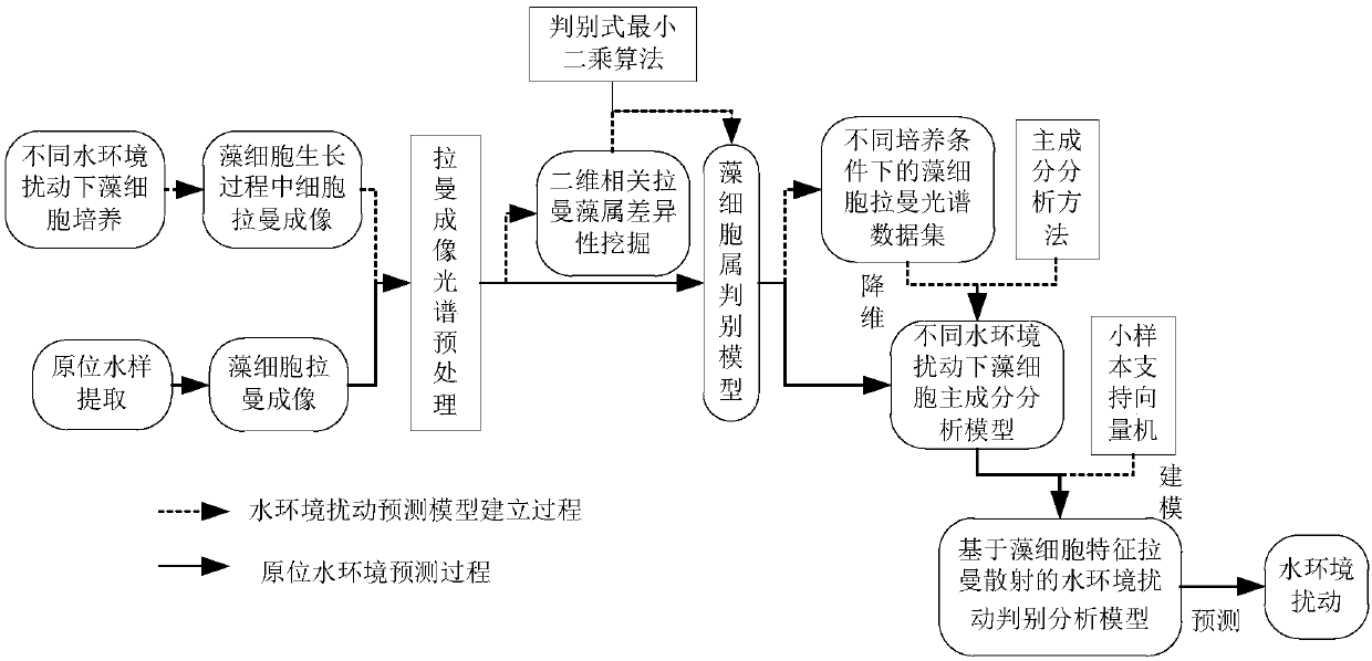 Method for evaluating water environment disturbance based on characteristic Raman scattering of alga cells