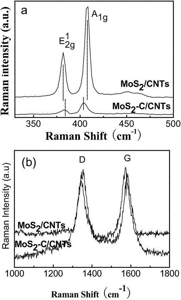 Composite nanotube composed of molybdenum disulfide-carbon-carbon nanotube and preparation method thereof