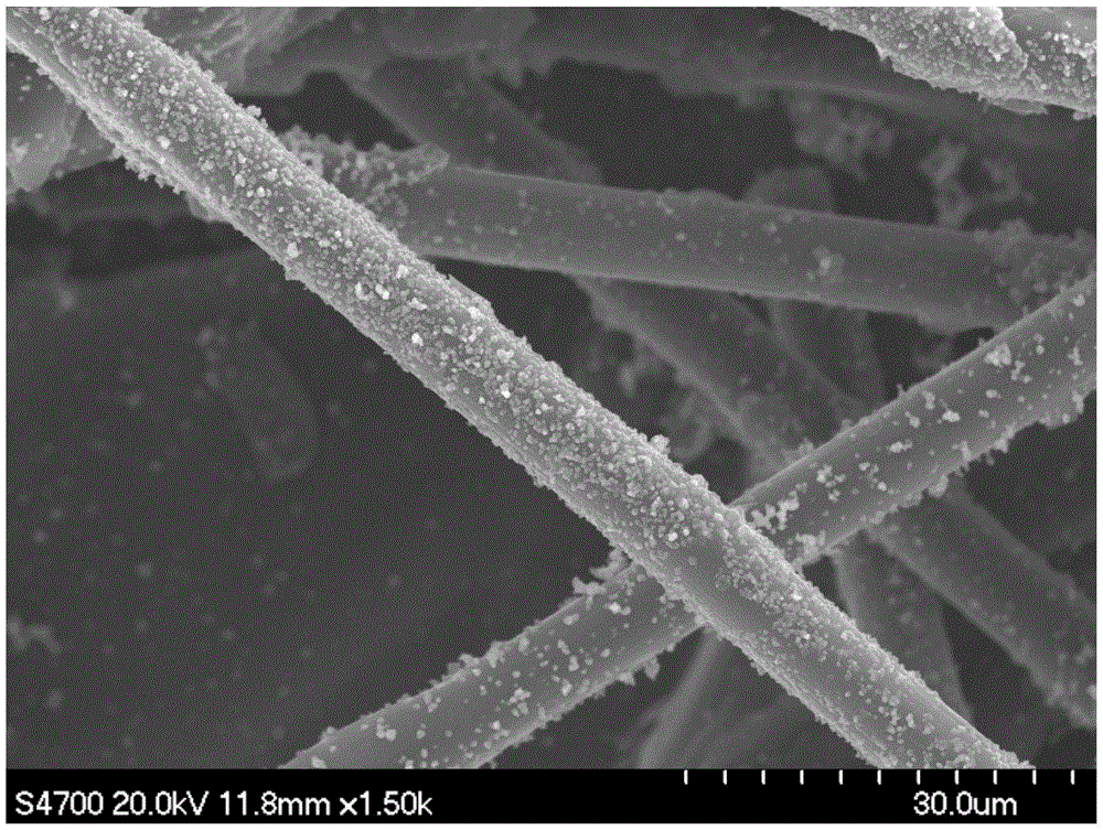 Self-supporting oxygen reduction/oxygen evolution double-effect oxygen electrode catalyst and preparation method therefor