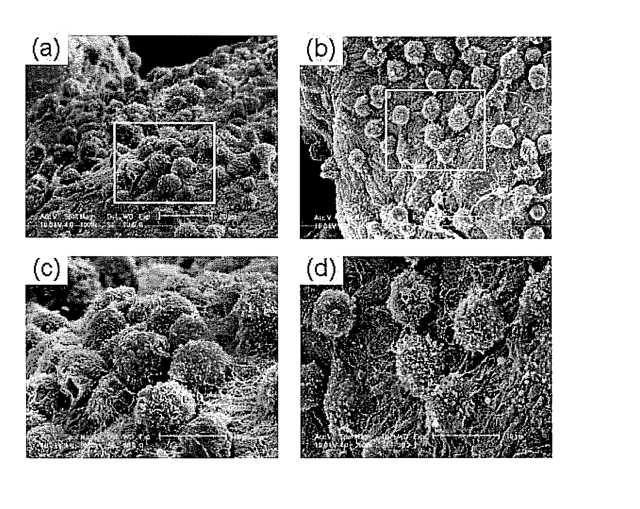 Dextran-hyaluronic acid based hydrogels