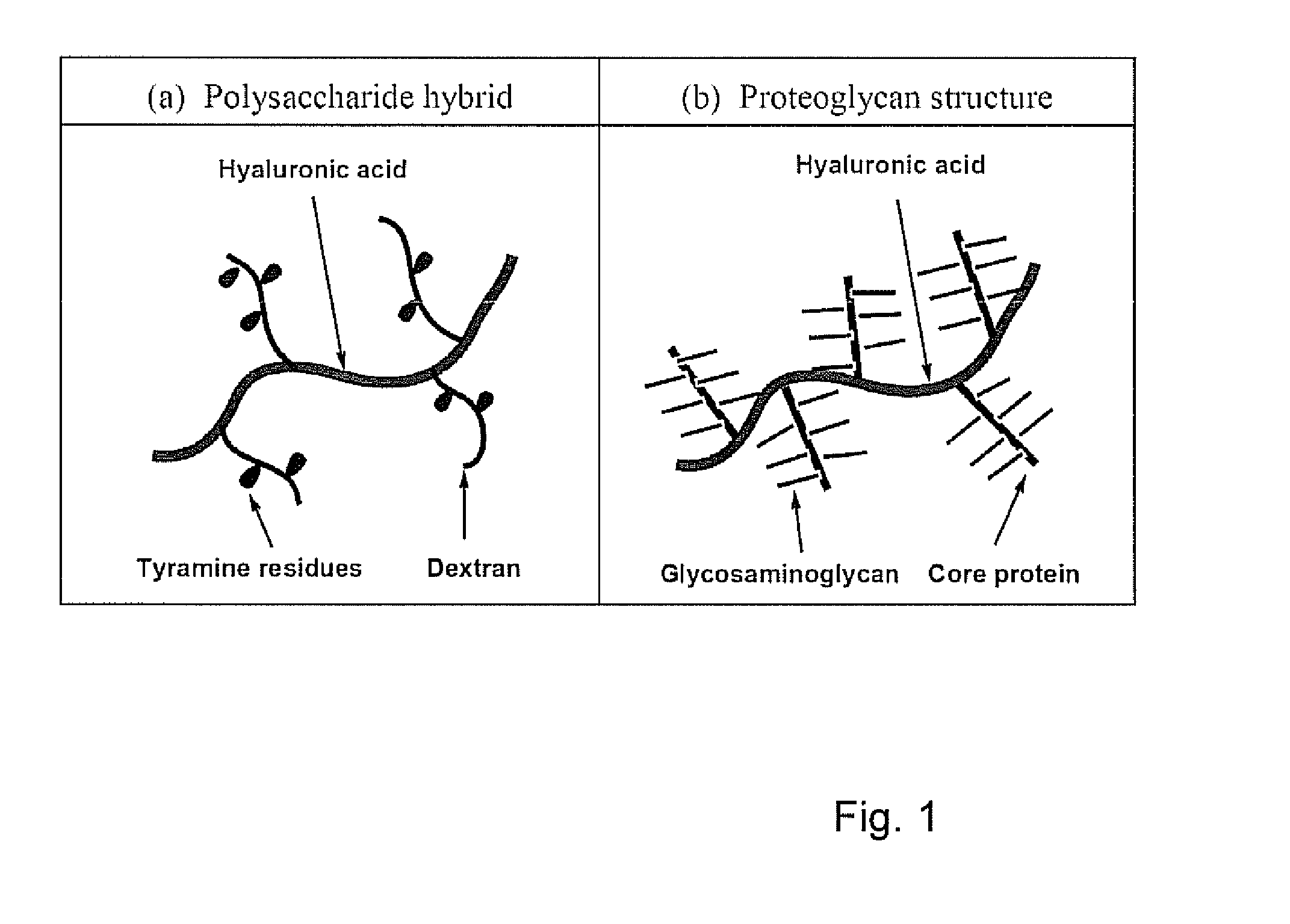 Dextran-hyaluronic acid based hydrogels