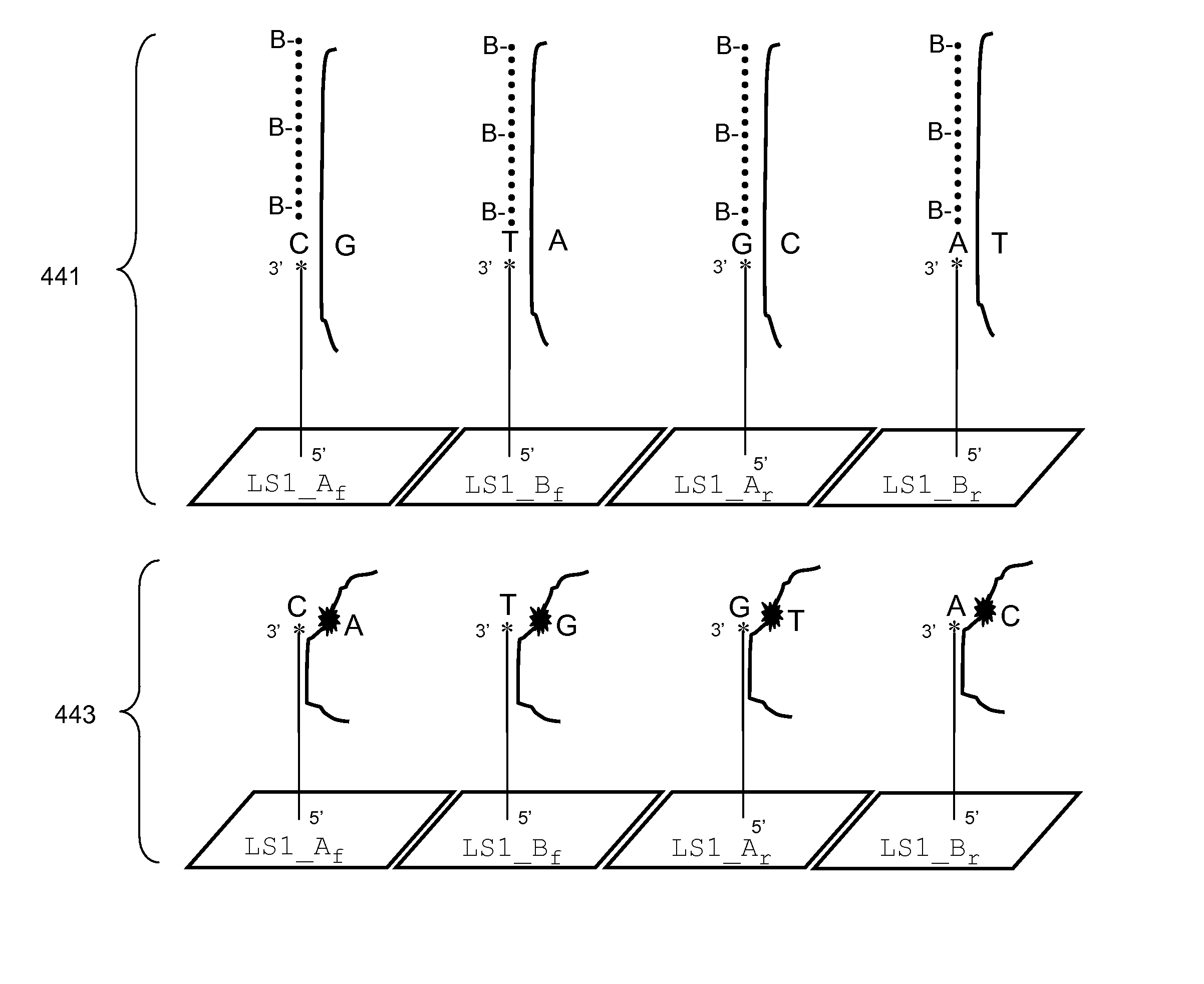 Methods for Genotyping