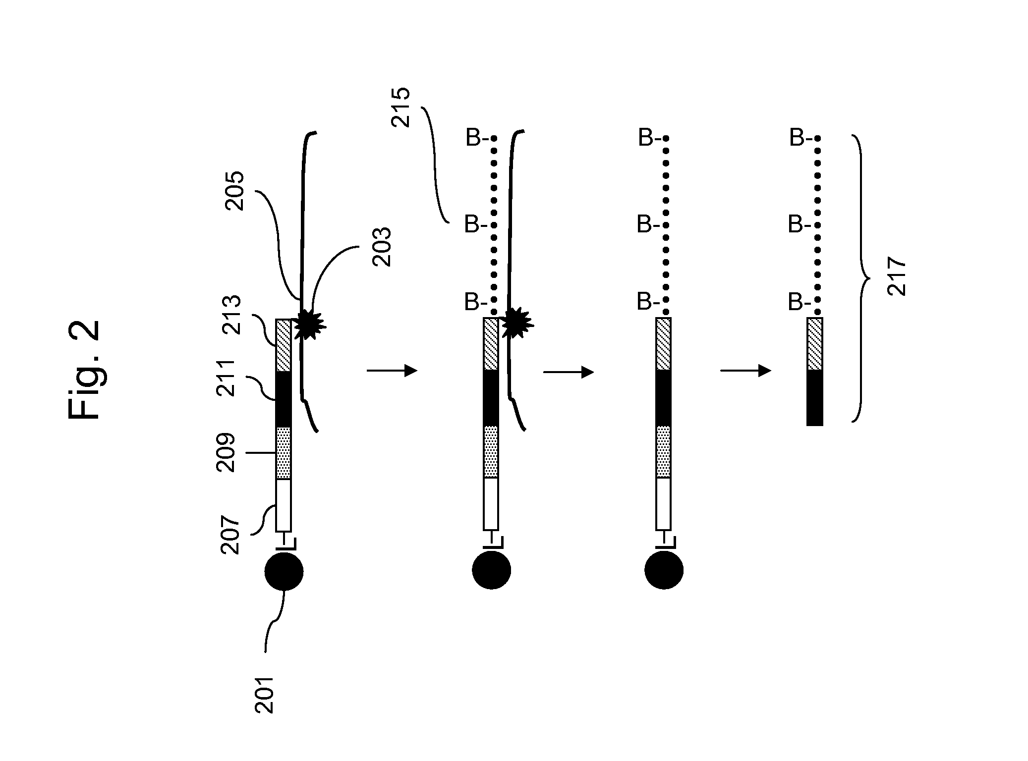 Methods for Genotyping