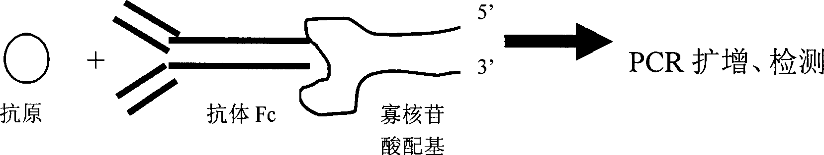 Antigen detection method and detection device made up by using said method