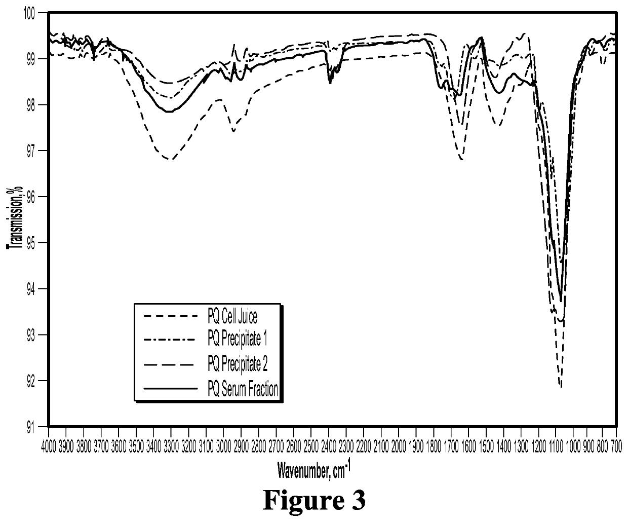 Bioactive compositions from ginseng plant (<i>Panax </i>spp.) and methods for their production and use