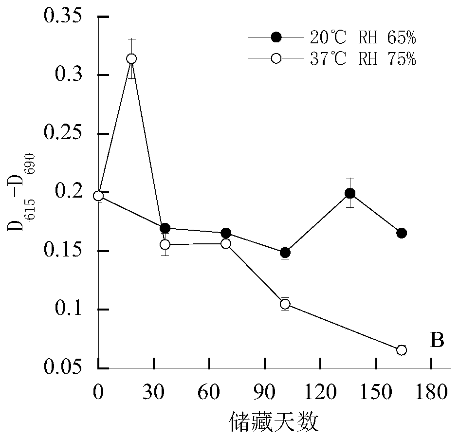 Method for detecting freshness of unhusked rice