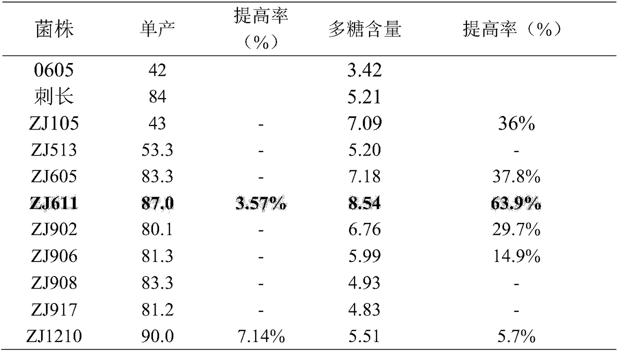 Hericium erinaceus strain and breeding method thereof