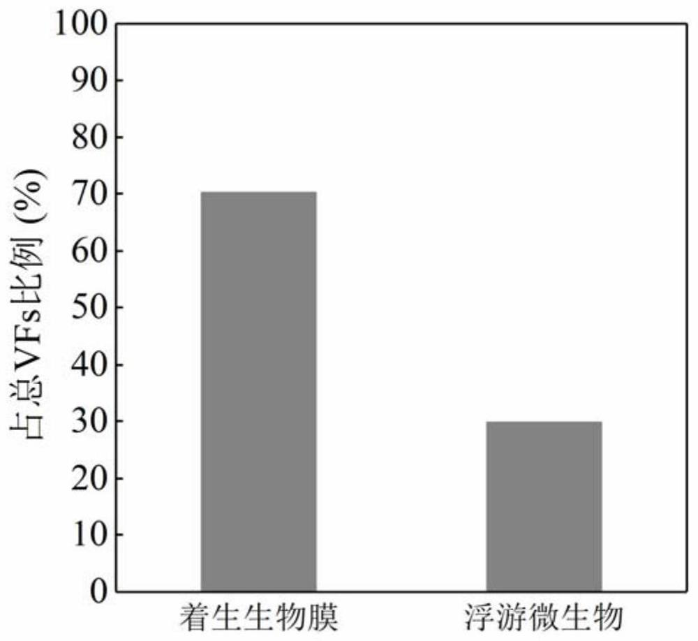 Method for identifying pathogenic bacteria carrying toxic factors in water body based on metagenome technology