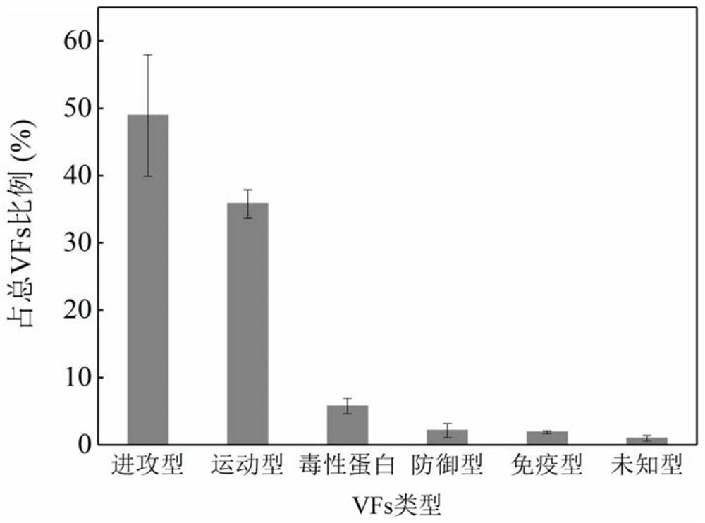 Method for identifying pathogenic bacteria carrying toxic factors in water body based on metagenome technology