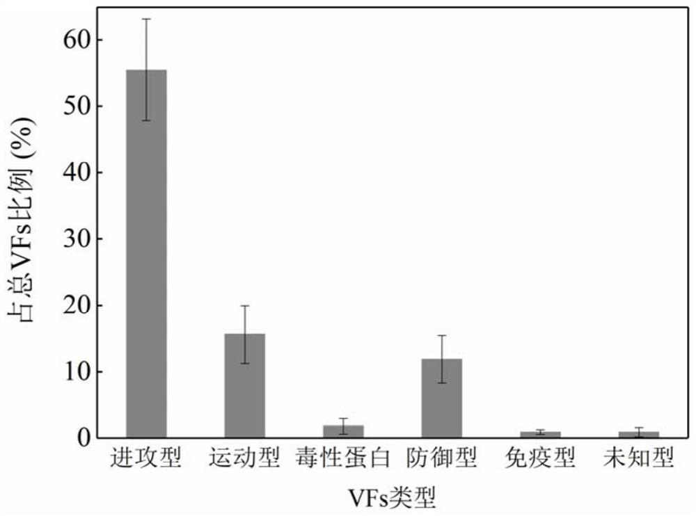 Method for identifying pathogenic bacteria carrying toxic factors in water body based on metagenome technology