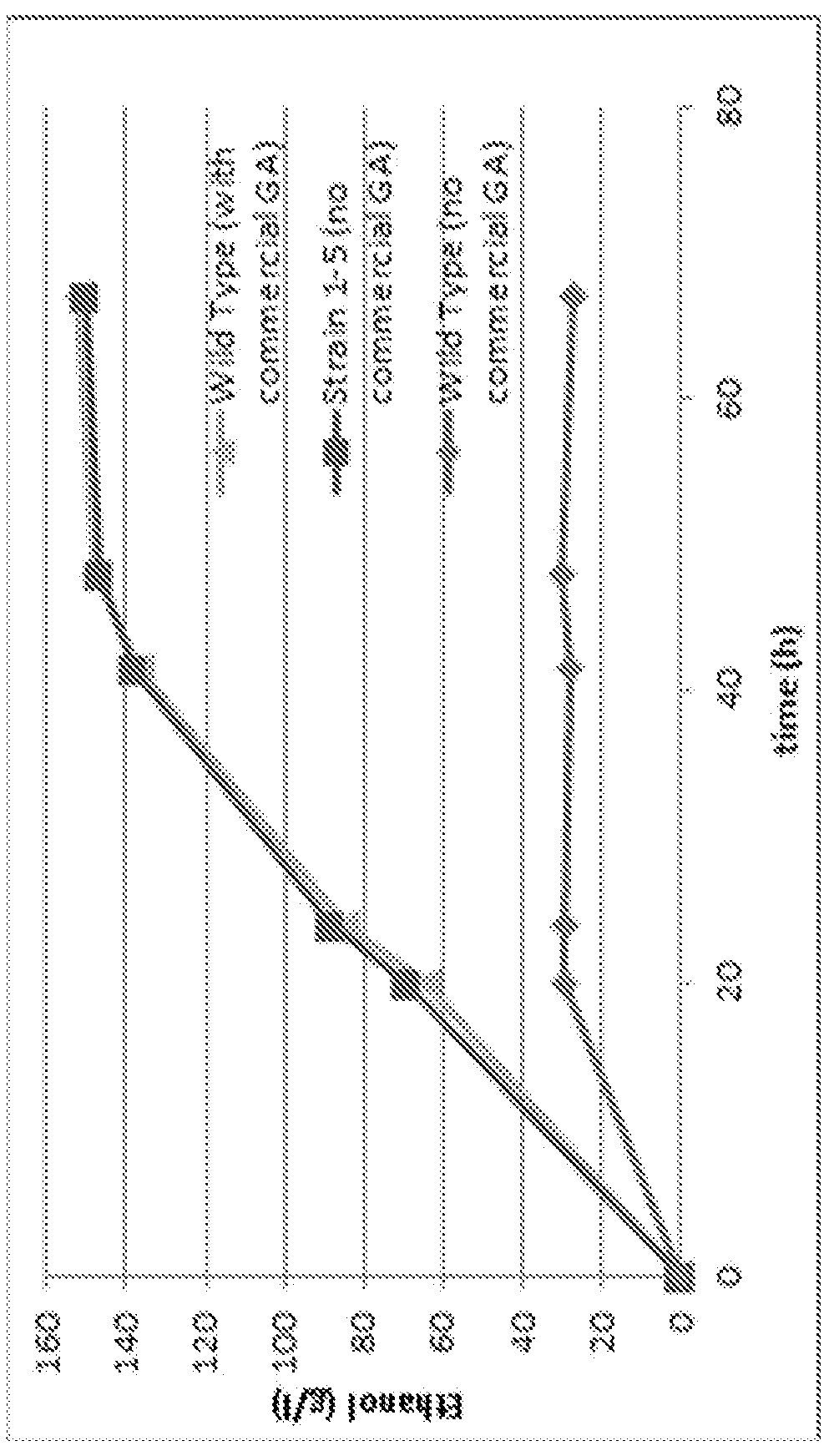 Glucoamylase-modified yeast strains and methods for bioproduct production