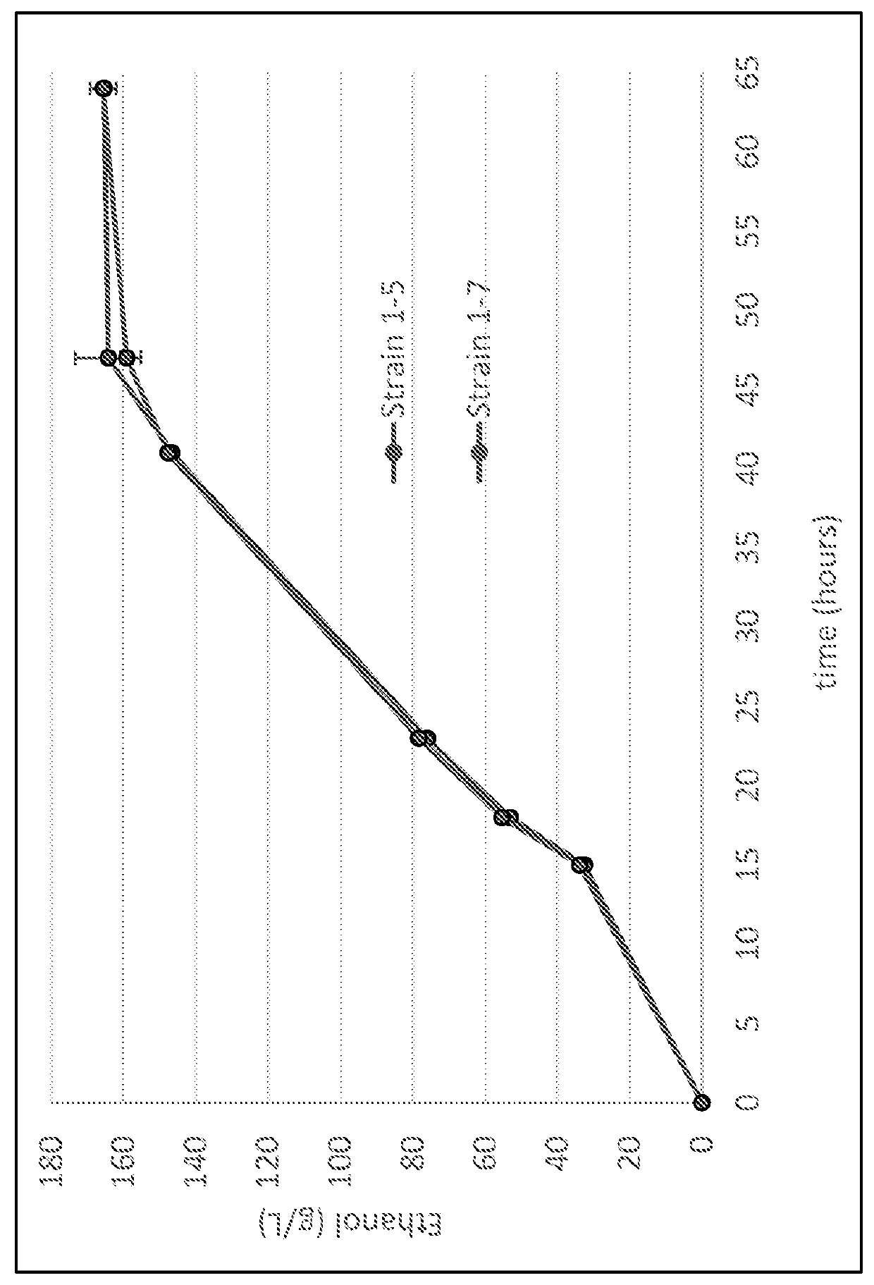 Glucoamylase-modified yeast strains and methods for bioproduct production