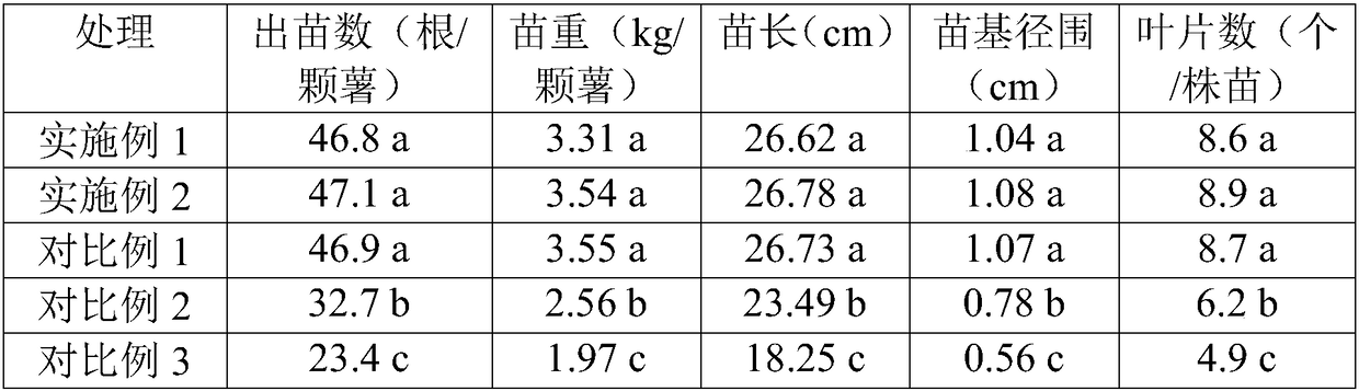 Application of nitrogen-fixing blue-green algae to improvement of emergence quality of seed sweet potatoes