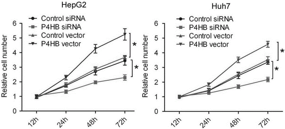 Inhibitor for P4HB gene expression and application of inhibitor