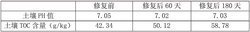 Photocatalysis soil heavy metal restoration agent