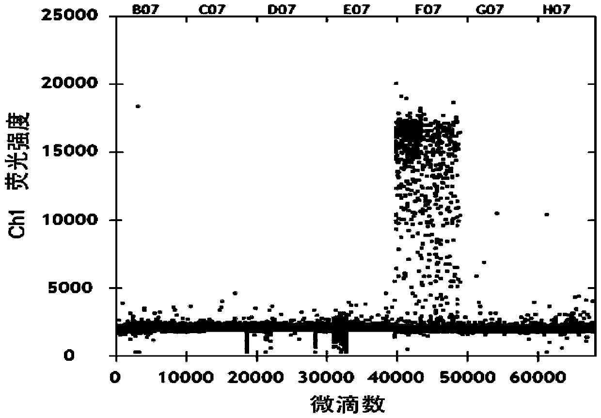 Specific primer, kit and method for qualitatively and/or quantitatively detecting lactobacillus rhamnosus