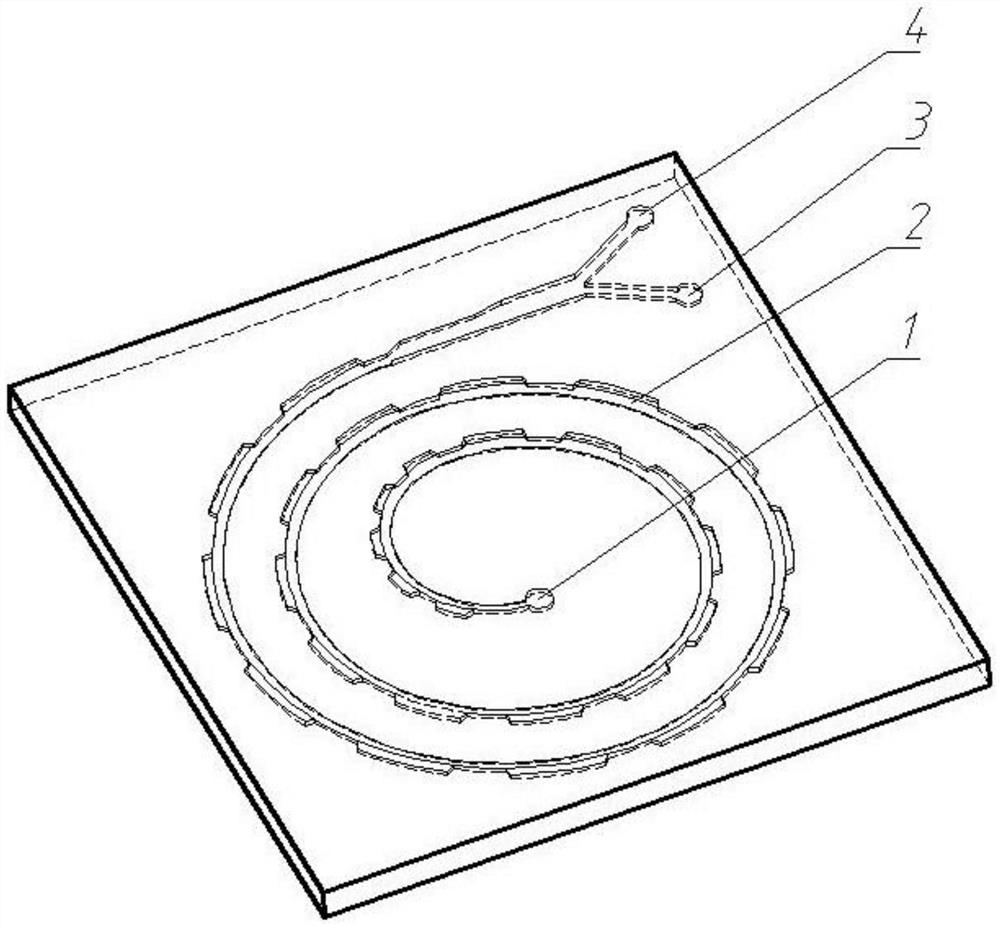 Micro-fluidic chip for tumor cell cluster sorting