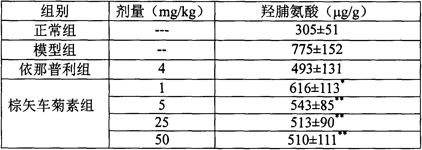 Application of jaceosidin in preparation of drugs used for treating or preventing chronic kidney injury