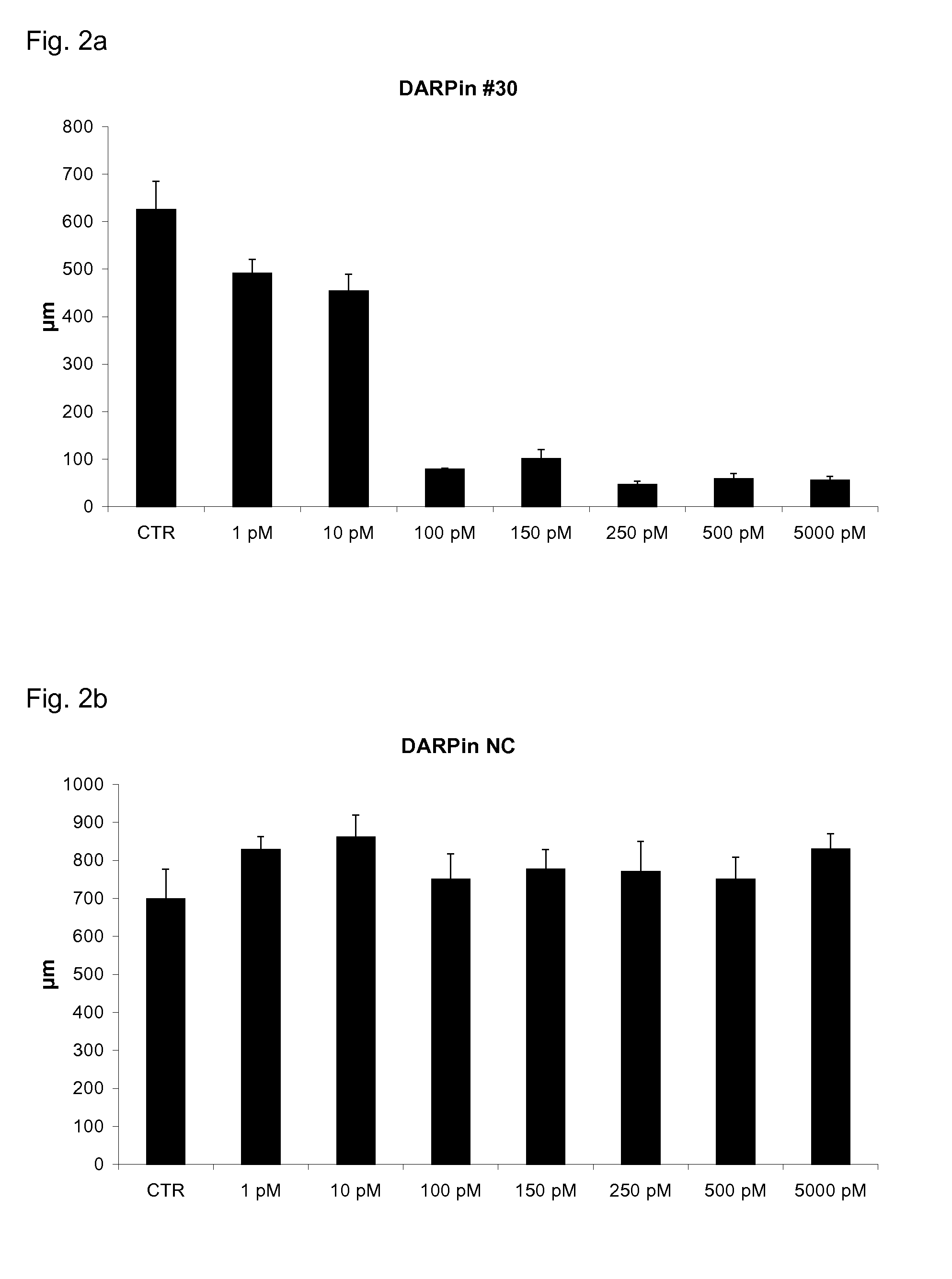 Modified binding proteins inhibiting the VEGF-A receptor interaction