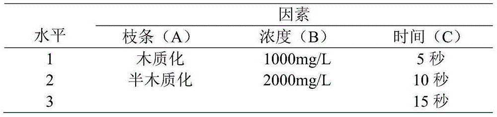 Method for promoting cutting propagation of clematis--Cardina Rouge