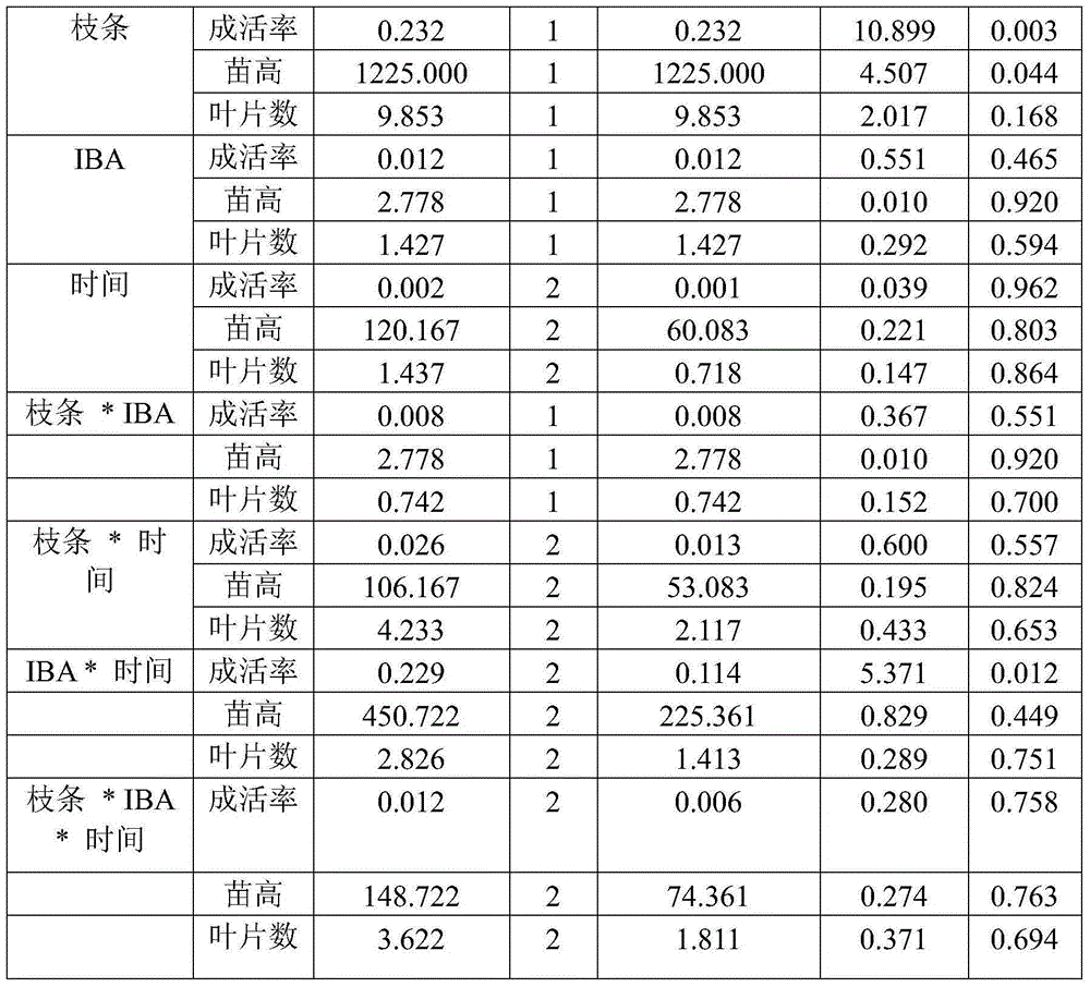 Method for promoting cutting propagation of clematis--Cardina Rouge