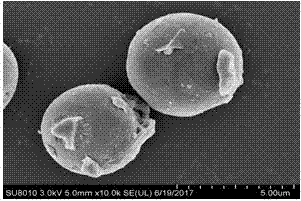 Graphene/silica gel solid extraction material and application thereof