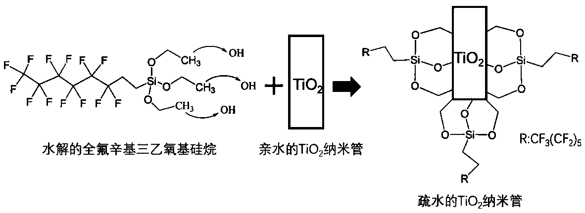 Preparation method of silane modified superhydrophobic TiO2 nanotube material