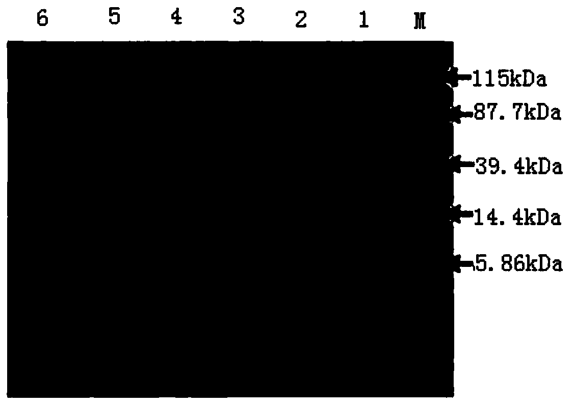 Device and method for gradient concentration using waste heat mechanical pressurization coupled with enzyme membrane method