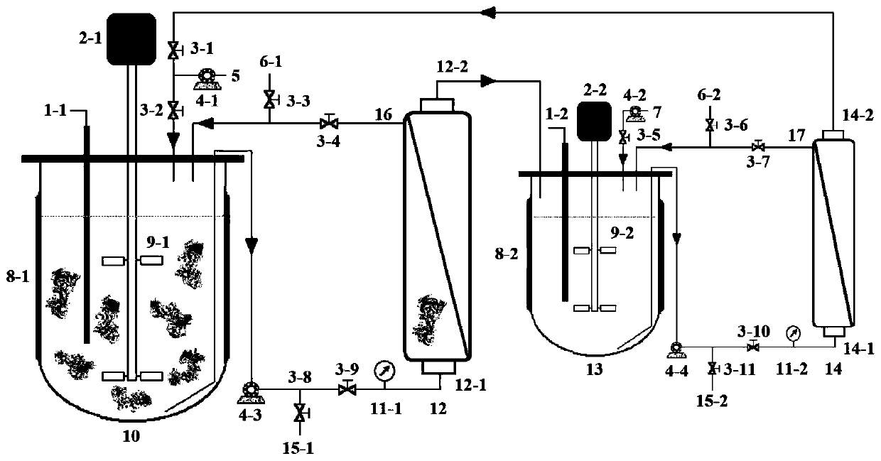 Chondroitinase ABC producing recombinant yeast strain and structuring and applying methods thereof