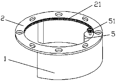 Coconut rice cooking device